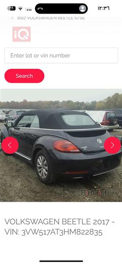 Volkswagen Beetle